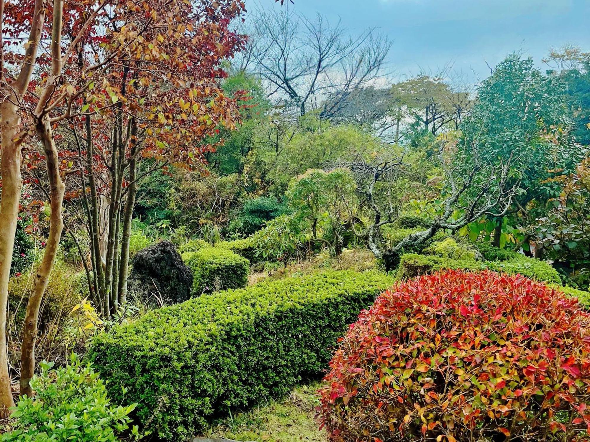 貸別荘花摘里　伊豆高原 Futo Exterior foto