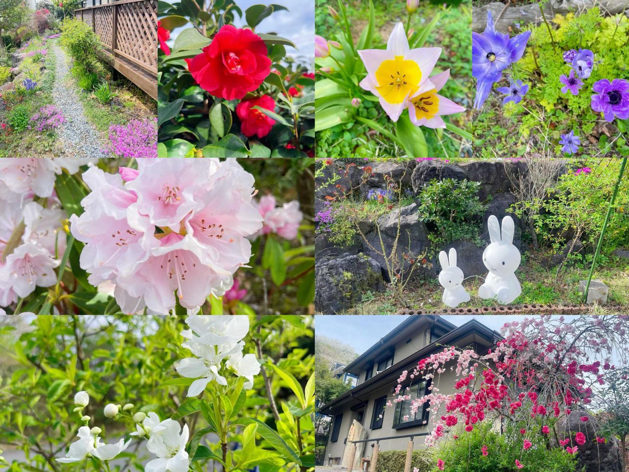 貸別荘花摘里　伊豆高原 Futo Exterior foto